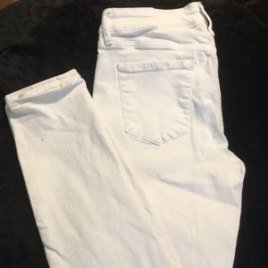 Articles of Society Jean